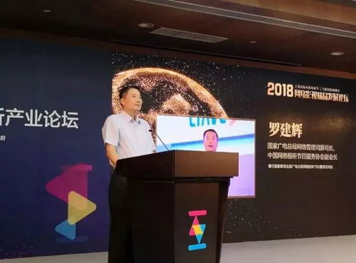 网络影视精品化 铸就视听新纪元，引领影视制作新浪潮